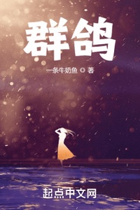 Đàn Bồ Câu Đàn Bồ Câu