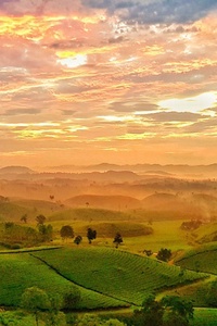 Miền đất mộng mơ Miền đất mộng mơ