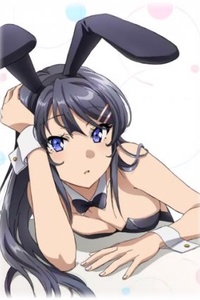 Seishun Buta Yarou series Seishun Buta Yarou series