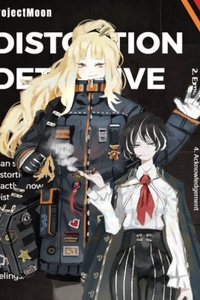 The Distortion Detective The Distortion Detective