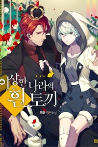 Winter Rabbit in Wonderland Winter Rabbit in Wonderland